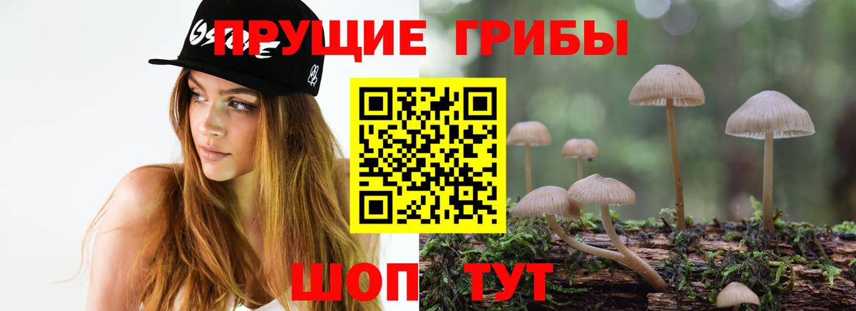 Первоуральск  Галлюциногенные грибы MAGIC MUSHROOMS  Вход с VPN 